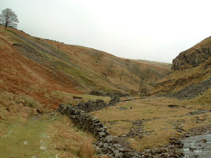 Looking uphill beside Dowber Gill beck