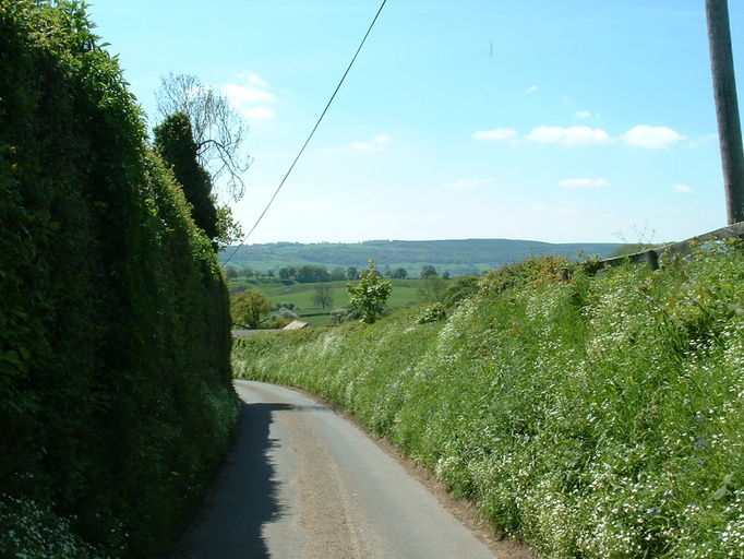 View from Stainburn towards Chevin Hills