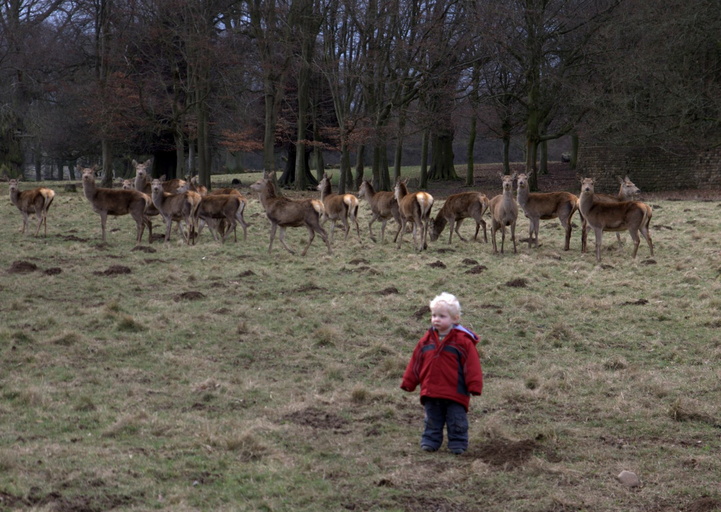 Callum with Deer at Studley Royal, 26th February 2012