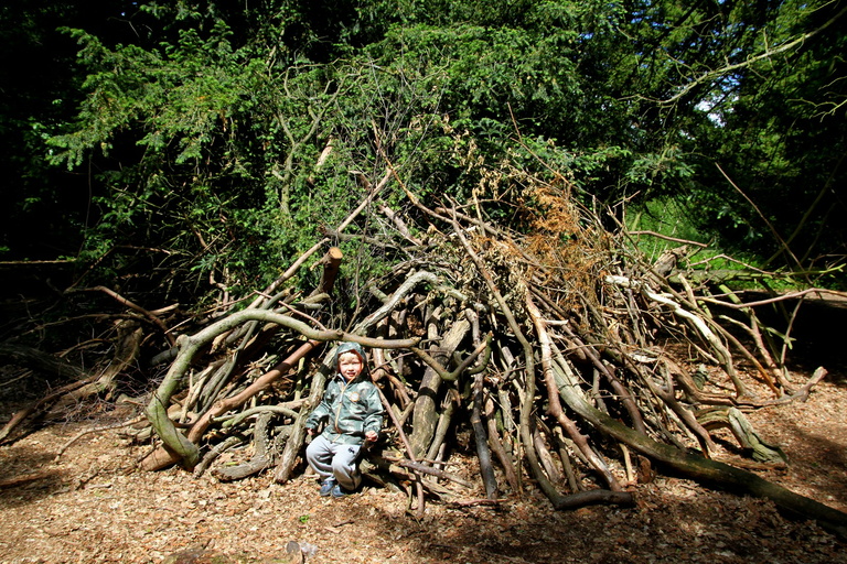 Den in the woods, Clumber Park