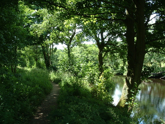 Path and river near Pateley Bridge
