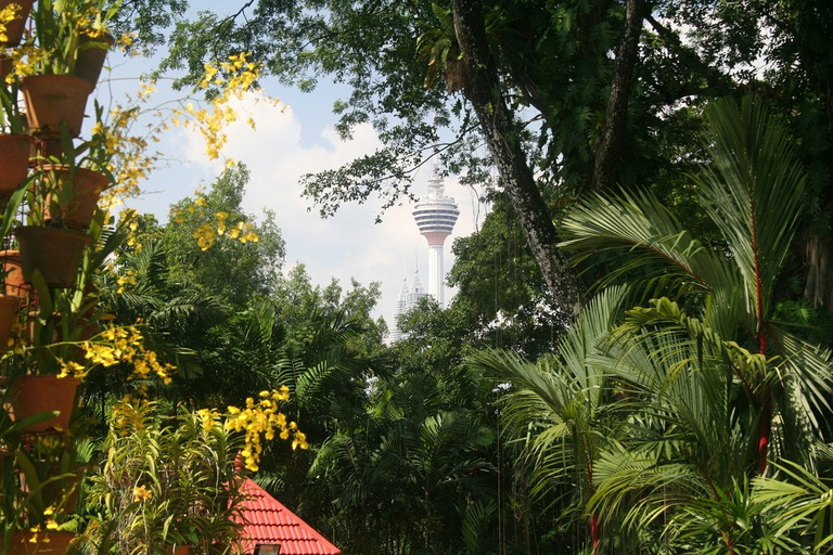 Menara KL and Petronas Towers from Orchid Gardens