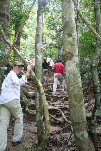 Heidi on the jungle path to Bukit Teresek