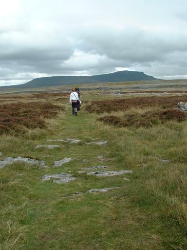 Heidi and Richard above Moughton Scars with Pen-y-ghent behind