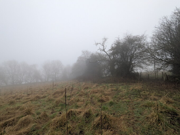 PXL 20250215 151552579