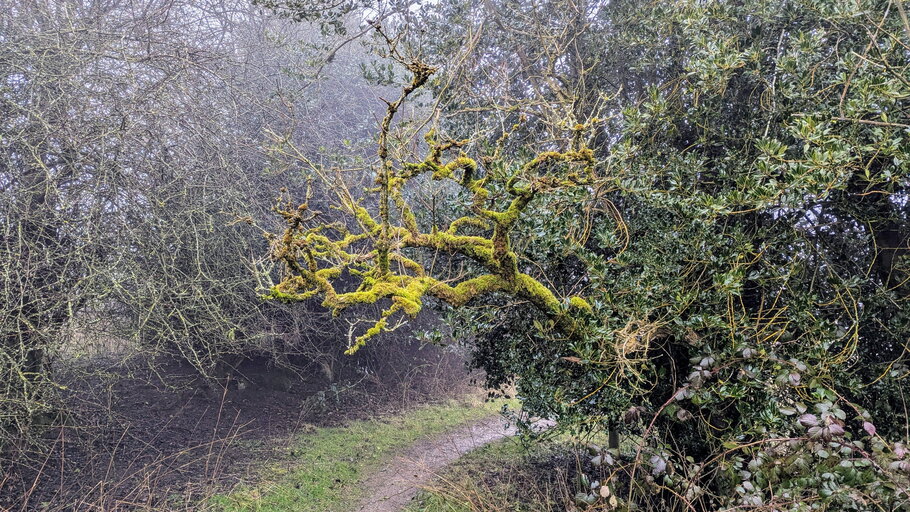 PXL 20250215 151631769