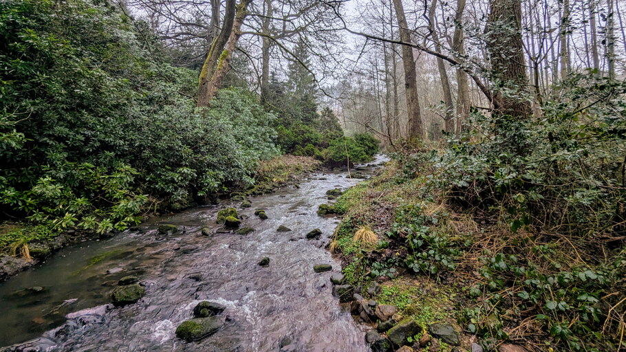 PXL 20250215 153908024