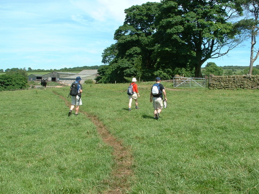 Crossing the fields around Overhouses Farm