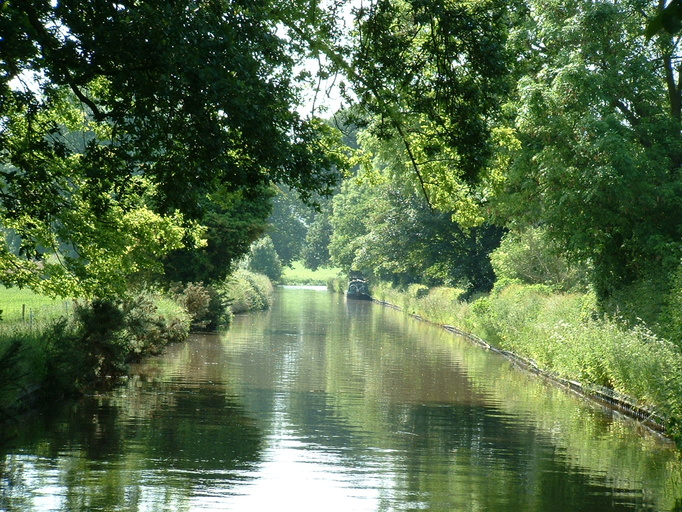 Canal sunshine