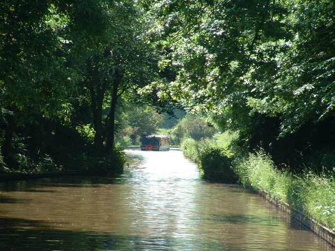 Leafy canal