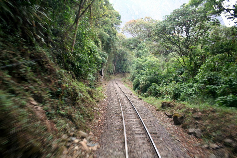 Train from Ollantaytambo to Machu Picchu