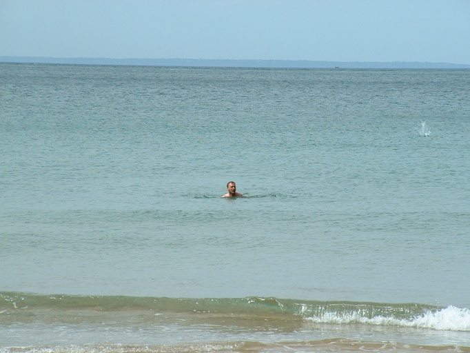 Maurice swimming