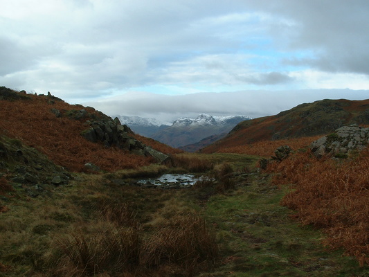 View of Langdale Pikes from Loughrigg Fell