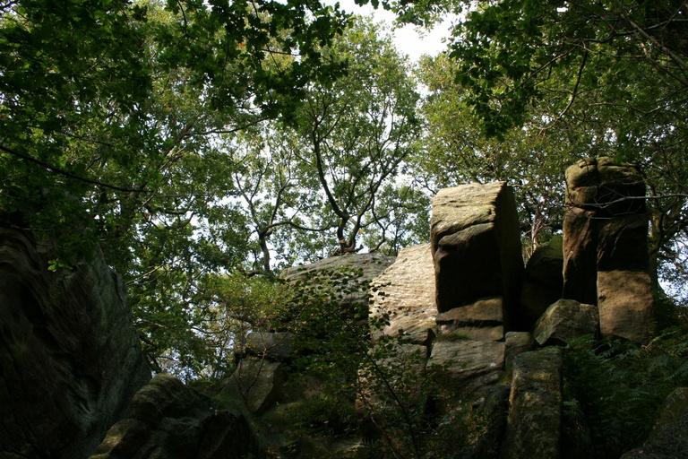 Near Brimham Rocks
