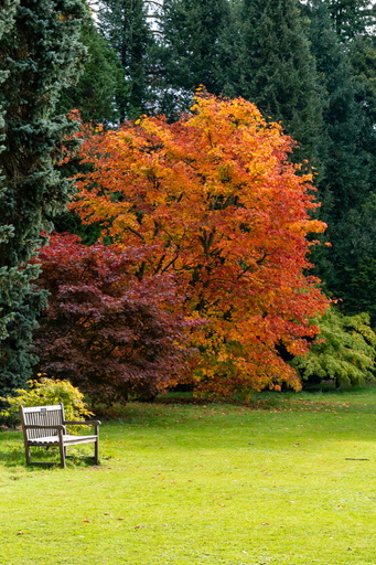 Thorp Perrow, 17th October 2021