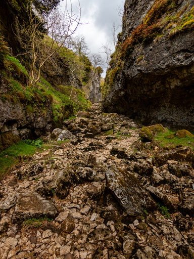 Troller's Gill, 16th May 2021